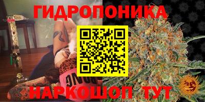 тгк Кунгур
