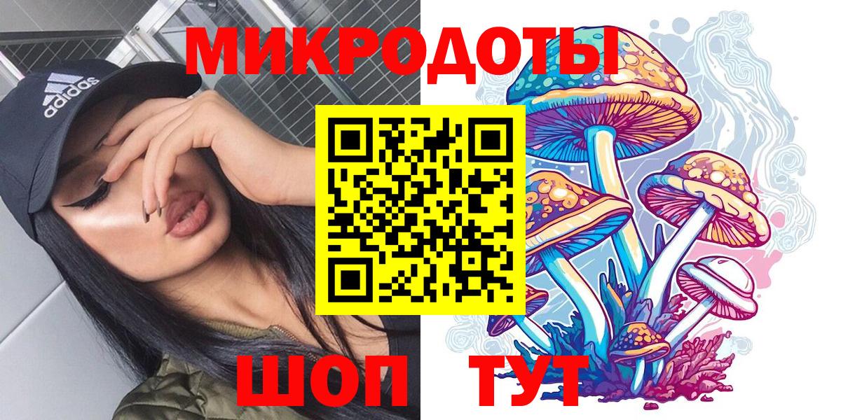 Псилоцибиновые грибы Cubensis  Вход с VPN  Заволжье 