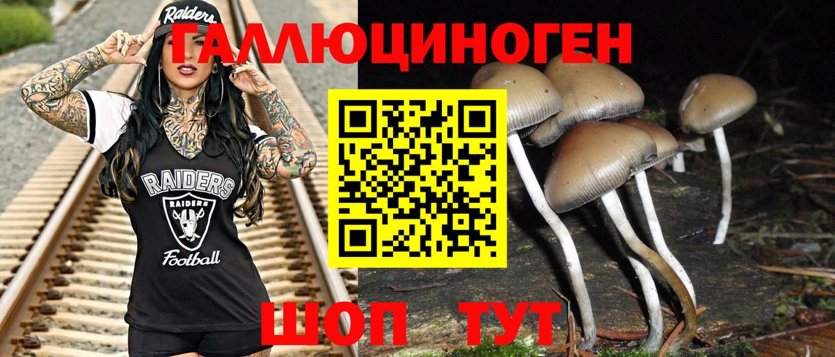 Псилоцибиновые грибы Psilocybe Заволжье
